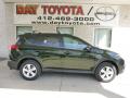 2013 RAV4 XLE AWD #1 2013 RAV4 XLE AWD #1