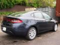 2013 Dart Limited #3