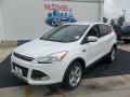 2013 Escape SE 1.6L EcoBoost #30