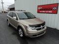 2009 Journey SXT AWD #1