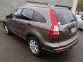 2011 CR-V SE 4WD #6
