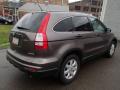 2011 CR-V SE 4WD #8
