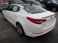 2013 Optima SX #6 2013 Optima SX #6