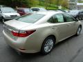2013 ES 350 #4
