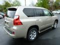 2013 GX 460 #4 2013 GX 460 #4