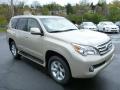 2013 GX 460 #6 2013 GX 460 #6
