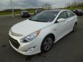 2013 Sonata Hybrid Limited #3