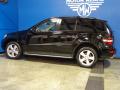 2009 ML 350 4Matic #4