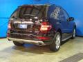 2009 ML 350 4Matic #7