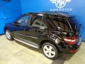 2009 ML 350 4Matic #12