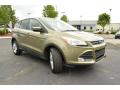 2013 Ford Escape Ginger Ale Metallic #3 2013 Ford Escape Ginger Ale Metallic #3