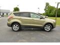 2013 Ford Escape Ginger Ale Metallic #4 2013 Ford Escape Ginger Ale Metallic #4