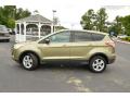 2013 Ford Escape Ginger Ale Metallic #9 2013 Ford Escape Ginger Ale Metallic #9