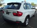 2010 X5 xDrive30i #3