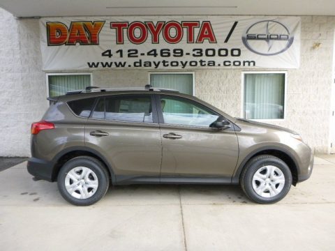 Pyrite Mica Toyota RAV4 LE AWD.  Click to enlarge.
