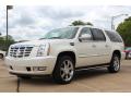 2013 Escalade ESV Luxury #2