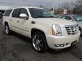 2010 Escalade ESV Premium AWD #3