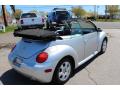 2003 New Beetle GLS Convertible #6