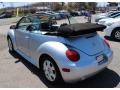 2003 New Beetle GLS Convertible #10