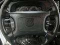  2000 Dodge Ram 1500 Sport Regular Cab 4x4 Steering Wheel #12