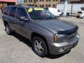 2009 TrailBlazer LT 4x4 #2 2009 TrailBlazer LT 4x4 #2