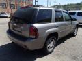 2009 TrailBlazer LT 4x4 #8 2009 TrailBlazer LT 4x4 #8