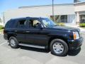 2003 Escalade AWD #10 2003 Escalade AWD #10