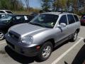 2004 Santa Fe GLS 4WD #3