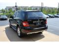 2010 ML 350 BlueTEC 4Matic #9 2010 ML 350 BlueTEC 4Matic #9