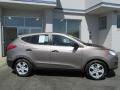  2010 Hyundai Tucson Chai Bronze #2