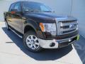 2013 F150 XLT SuperCrew #2