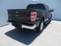 2013 F150 XLT SuperCrew #4