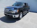 2013 F150 XLT SuperCrew #9