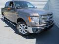 2013 F150 XLT SuperCrew #2