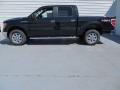 2013 F150 XLT SuperCrew 4x4 #10