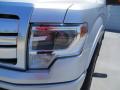2013 F150 Platinum SuperCrew #12