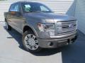 2013 F150 Platinum SuperCrew #2