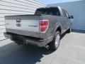 2013 F150 Platinum SuperCrew #4