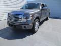 2013 F150 Platinum SuperCrew #10