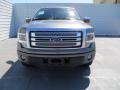 2013 F150 Platinum SuperCrew #11