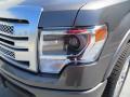2013 F150 Platinum SuperCrew #12