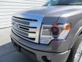 2013 F150 Platinum SuperCrew #13