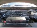 2013 F150 Platinum SuperCrew #20