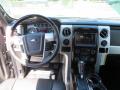 2013 F150 Platinum SuperCrew #28
