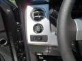 2013 F150 Platinum SuperCrew #35
