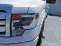 2013 F150 Platinum SuperCrew #12