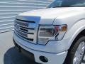 2013 F150 Platinum SuperCrew #13
