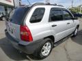  2008 Kia Sportage Satin Silver Metallic #5