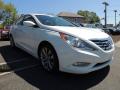2011 Sonata SE #8