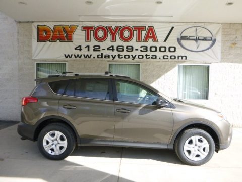 Pyrite Mica Toyota RAV4 LE AWD.  Click to enlarge.